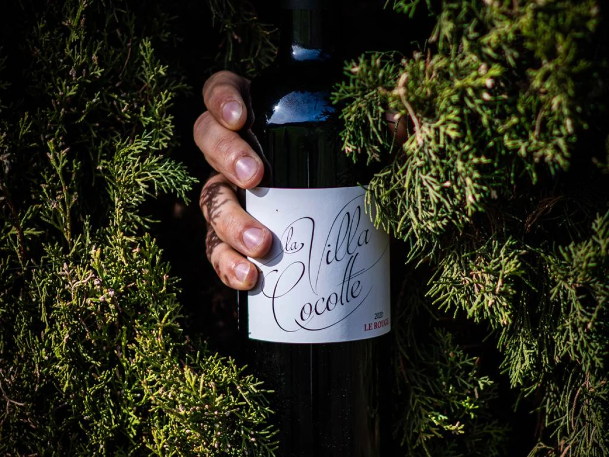 Visite et dégustation au chai - Vignerons Indépendants