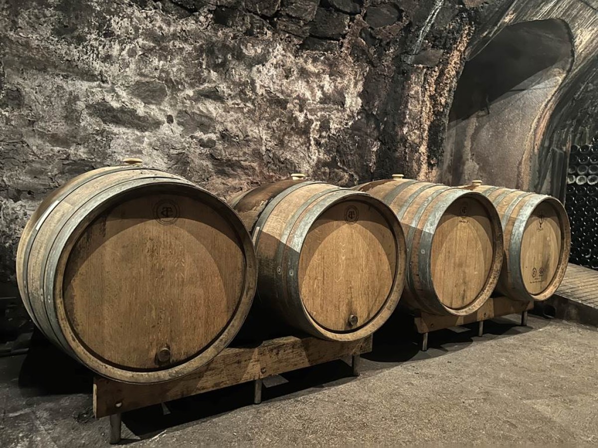 Visit and tasting - Vignerons Indépendants