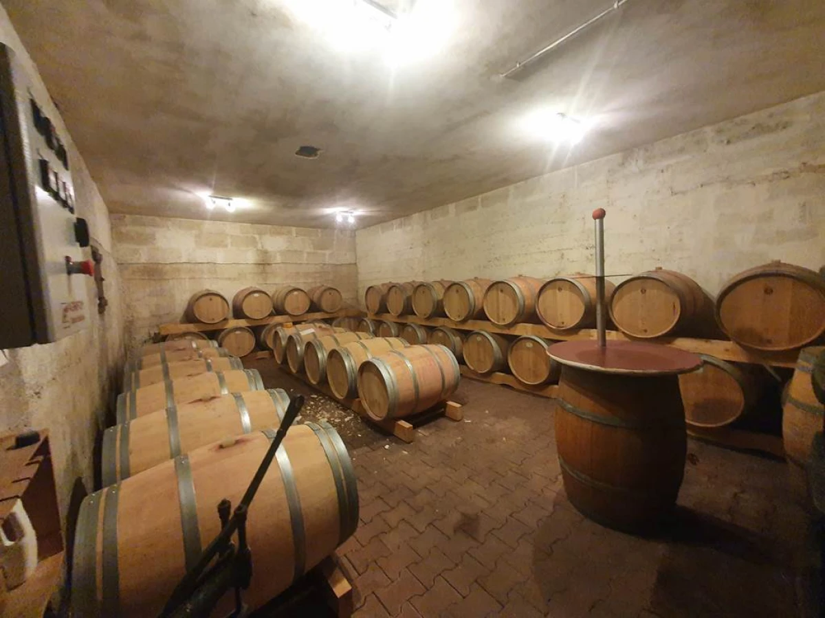 Visite et Dégustation de 3 vins - Vignerons Indépendants