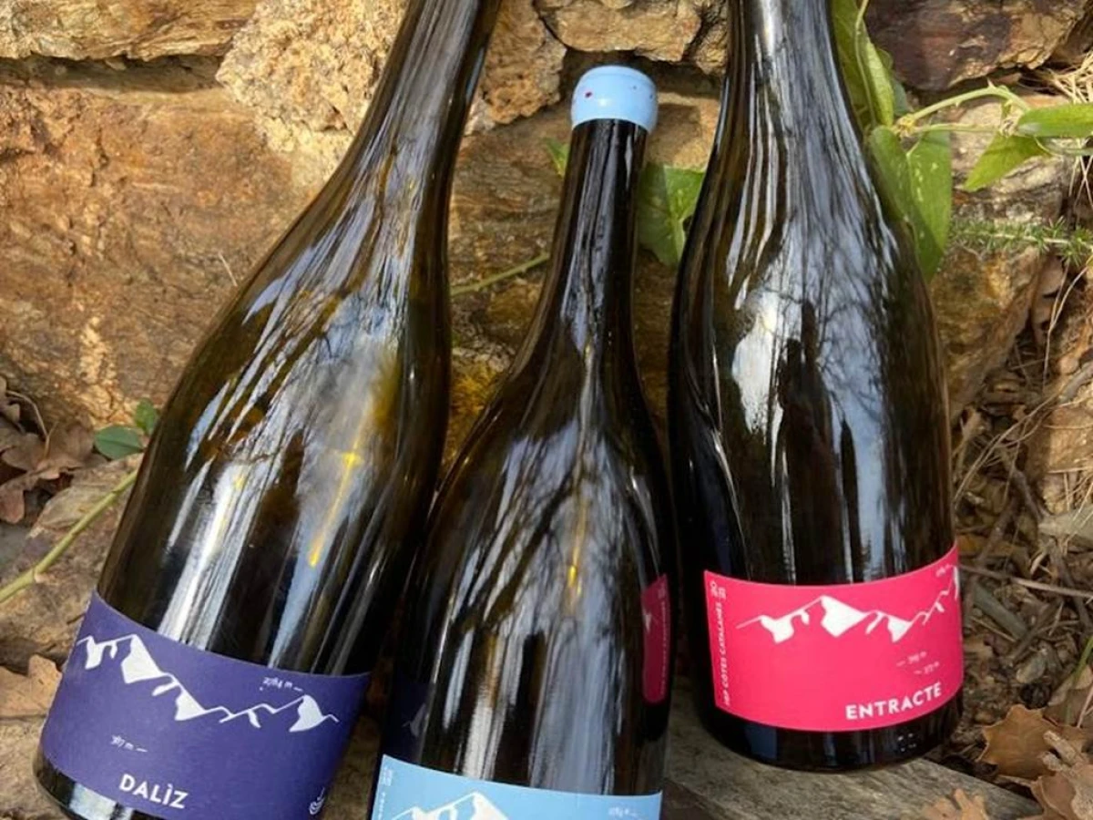 Visit and wine tasting at the vineyard in Oms - Vignerons Indépendants