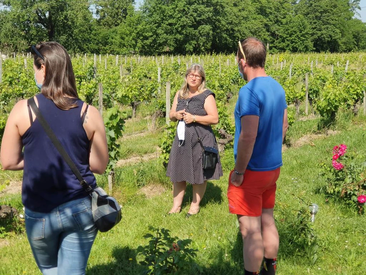 Wine tour - Vignerons Indépendants