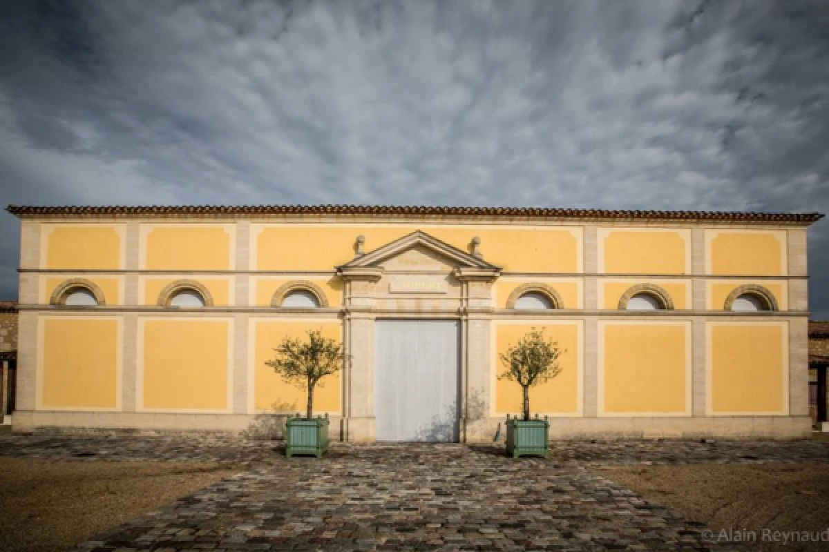 Visit and Tasting - Vieux Château Gaubert - PORTETS - Vignerons Indépendants