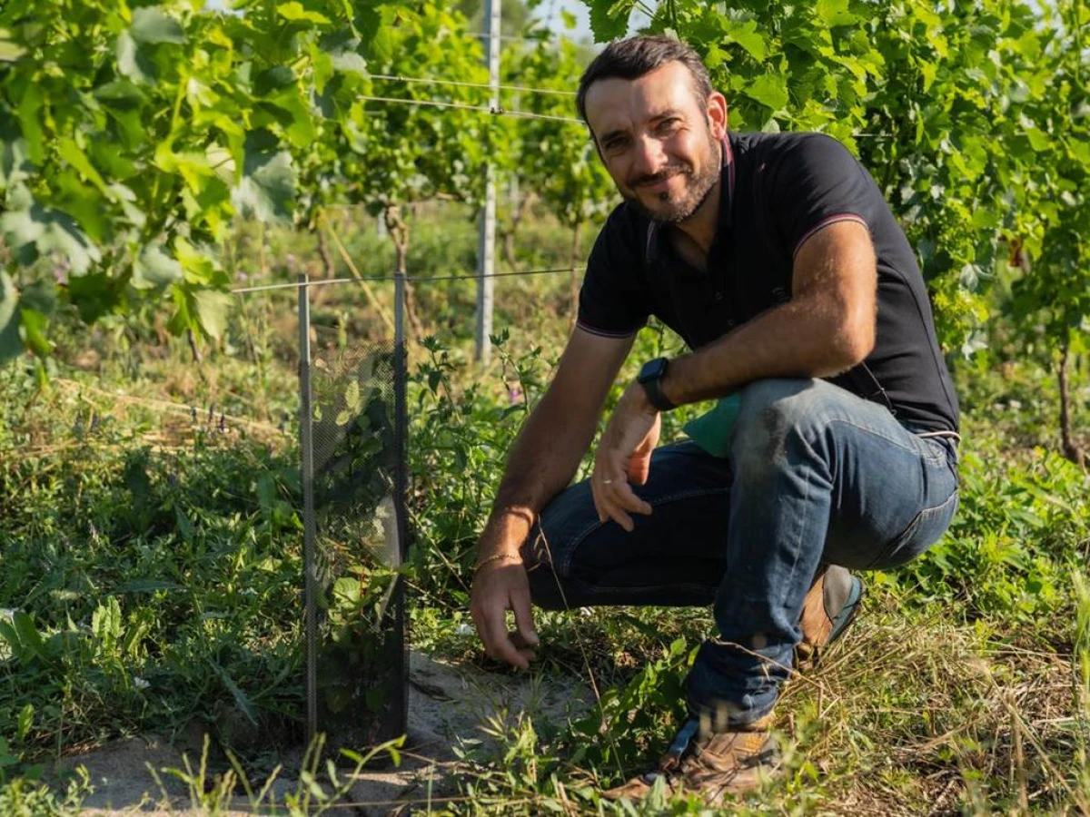 Visite et Dégustation - Vignerons Indépendants