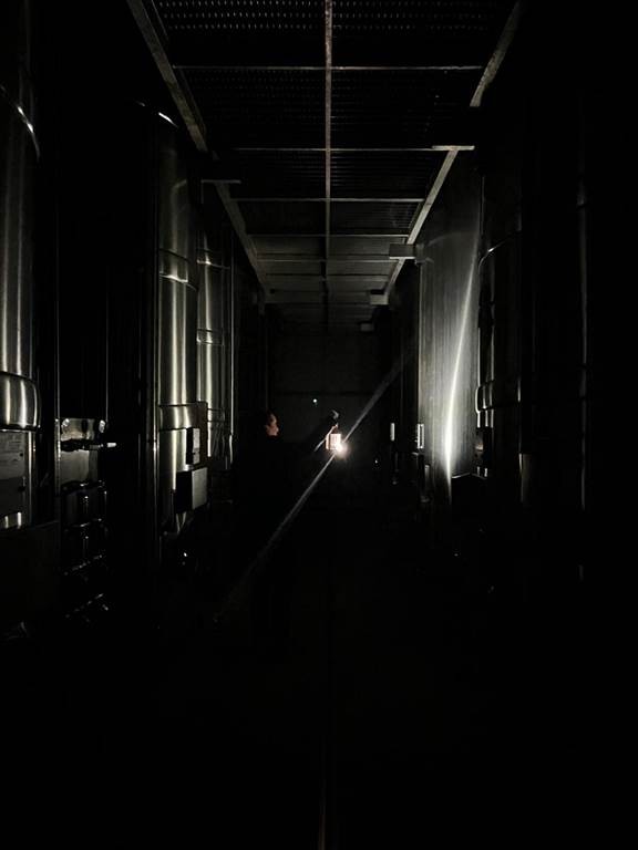 Visite Guidée et Gourmande "Nocturne" - Vignerons Indépendants