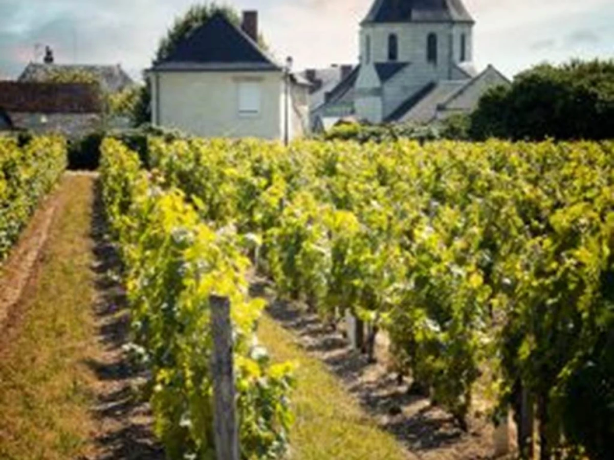 Visite Prestige - Vignerons Indépendants