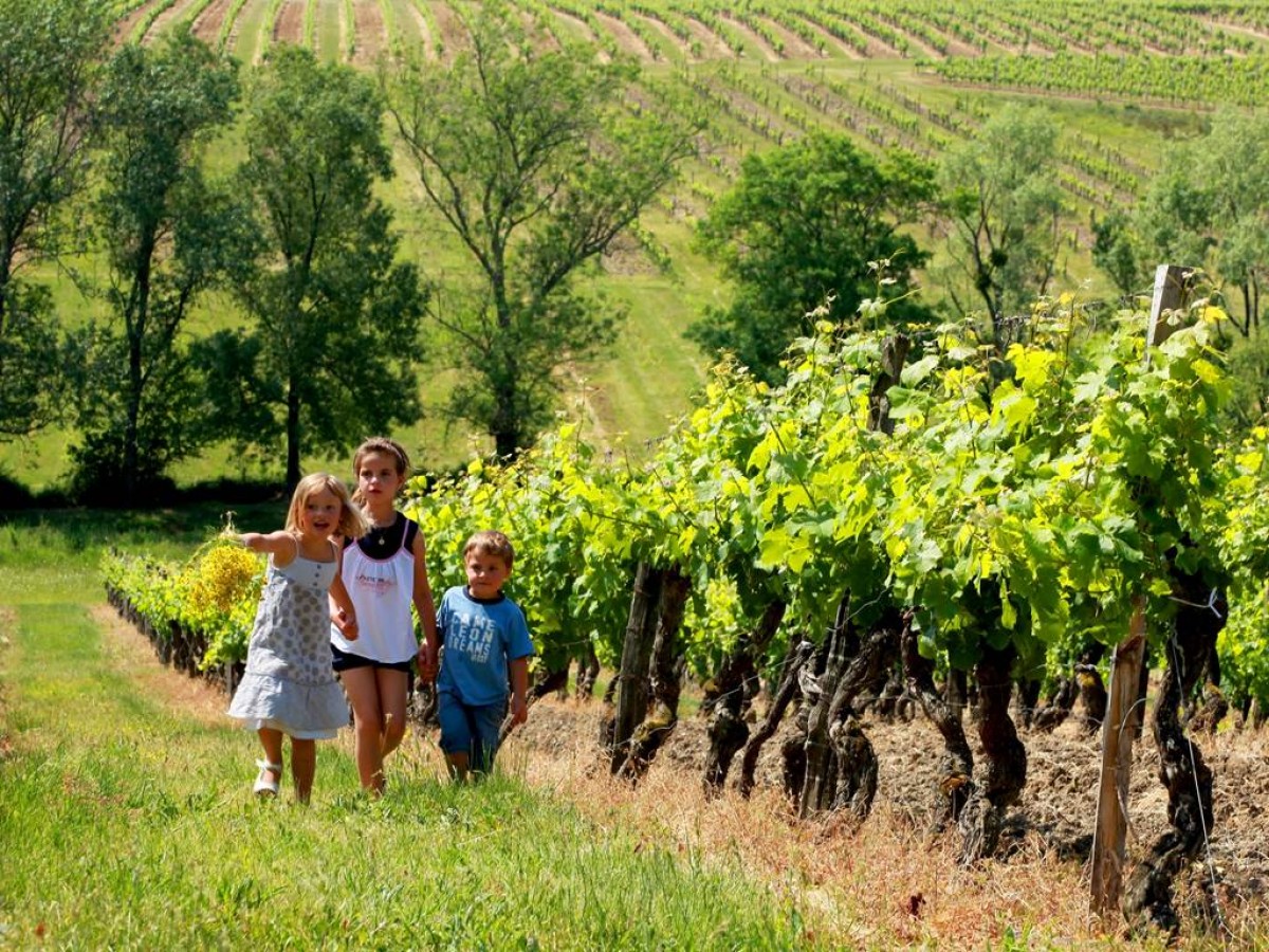  - Vignerons Indépendants