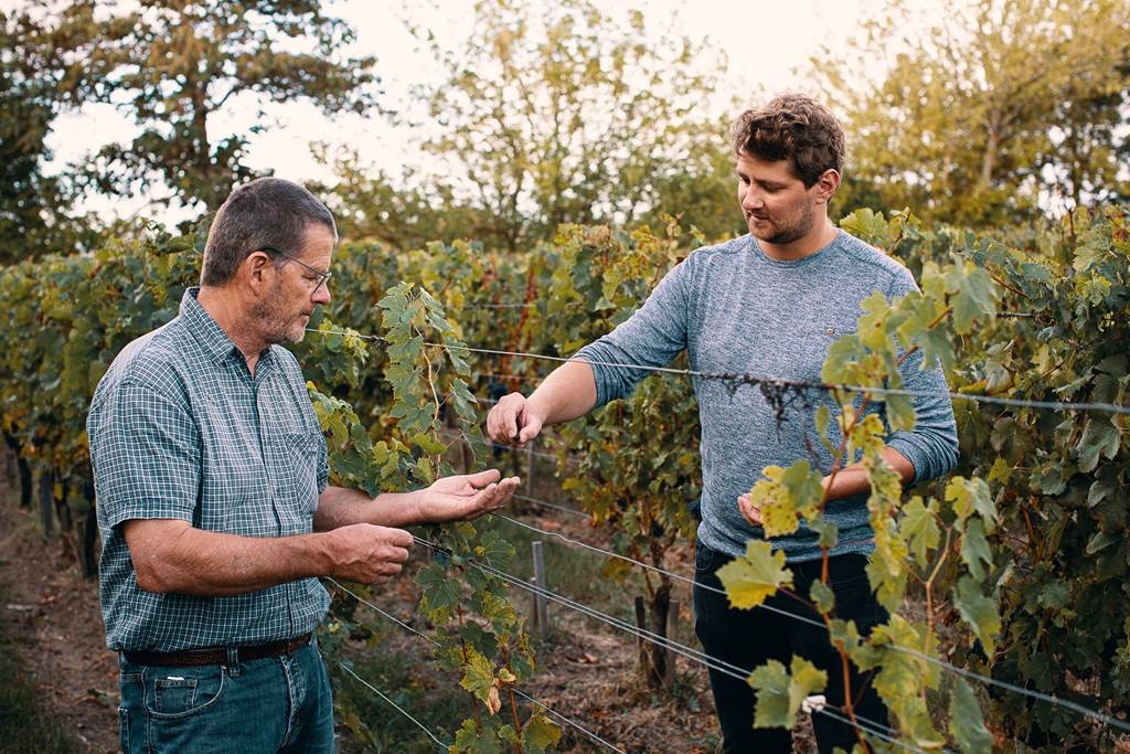 Visite Vigneronne – Famille, Terroir & Agroécologie à Saint-Émilion - Vignerons Indépendants