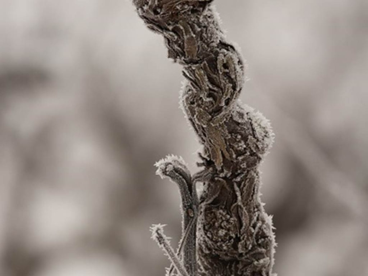  - Vignerons Indépendants