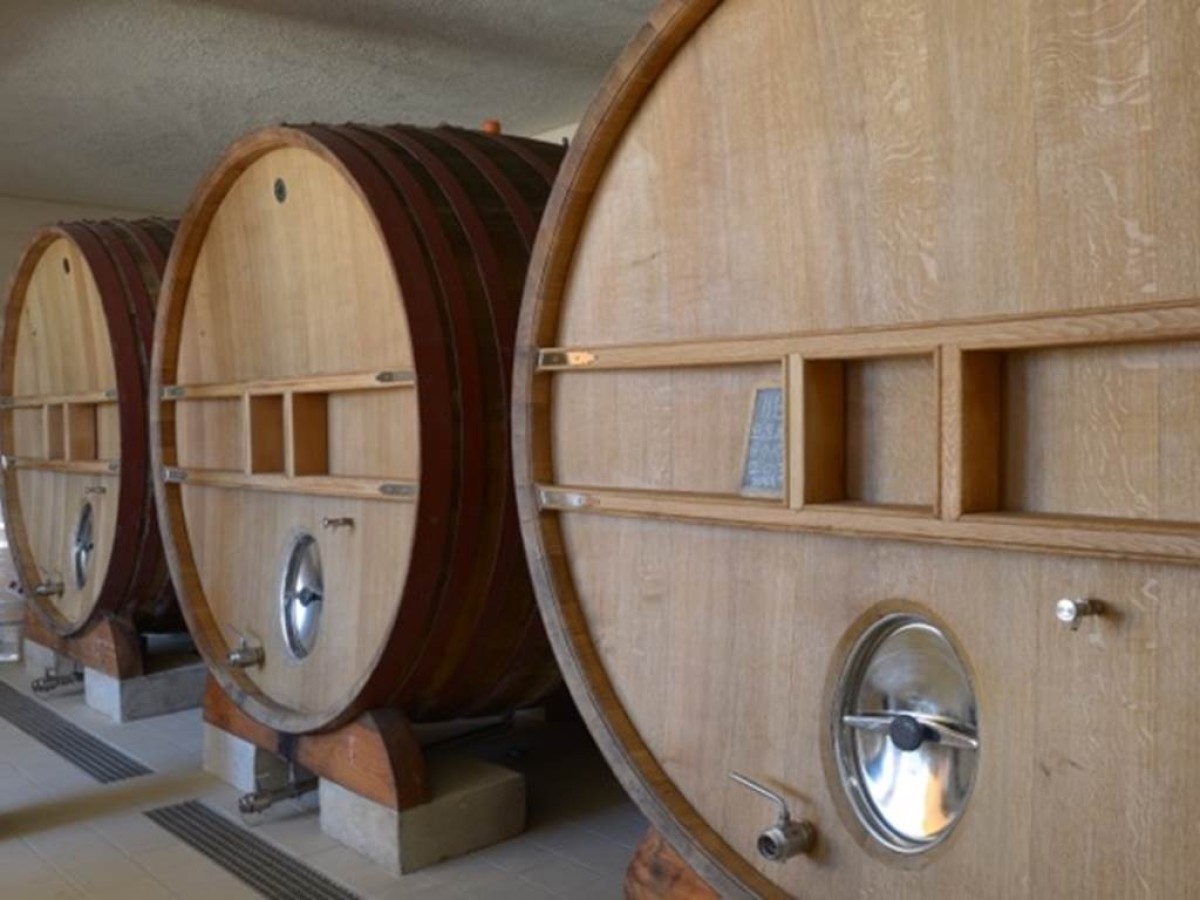 Winery tour and wine tasting (in english) - Vignerons Indépendants