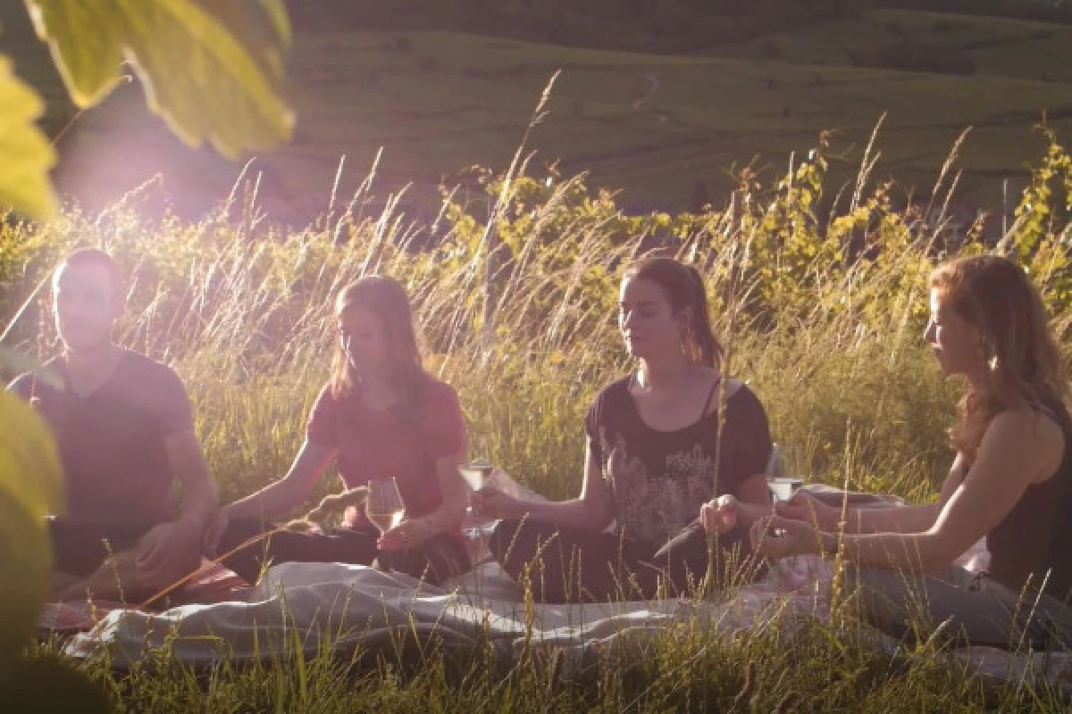 Yoga & Wine - Vignerons Indépendants